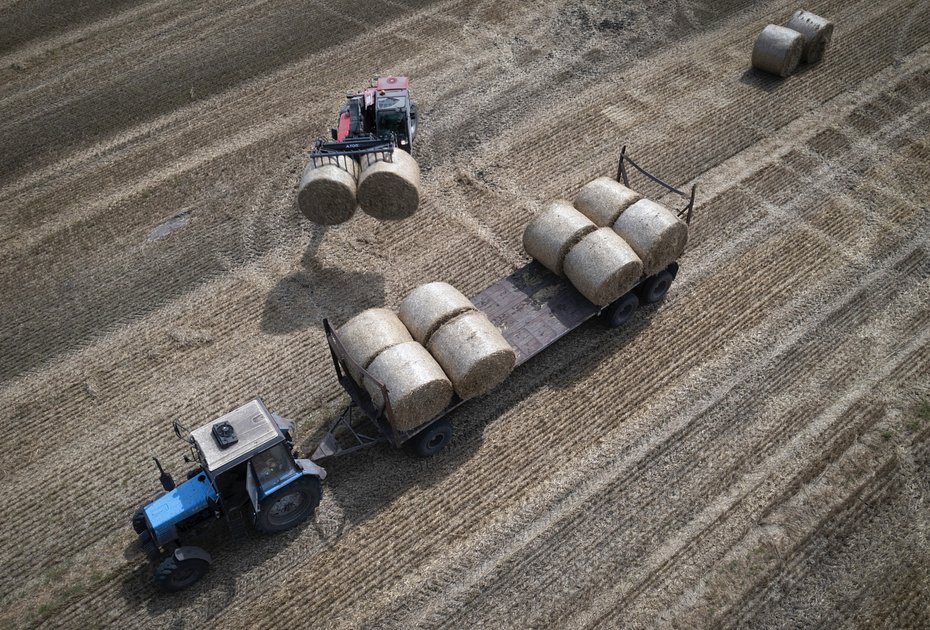 Тракторы в поле в частном хозяйстве в одном из сел Киевской области, 10 августа 2023 года