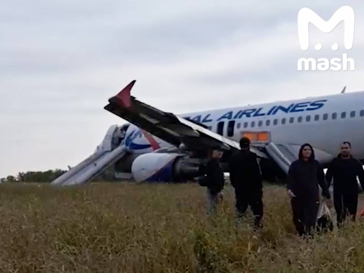 Ошибку пилотов назвали причиной посадки самолета «Уральских авиалиний» в  поле: Россия: Путешествия: Lenta.ru