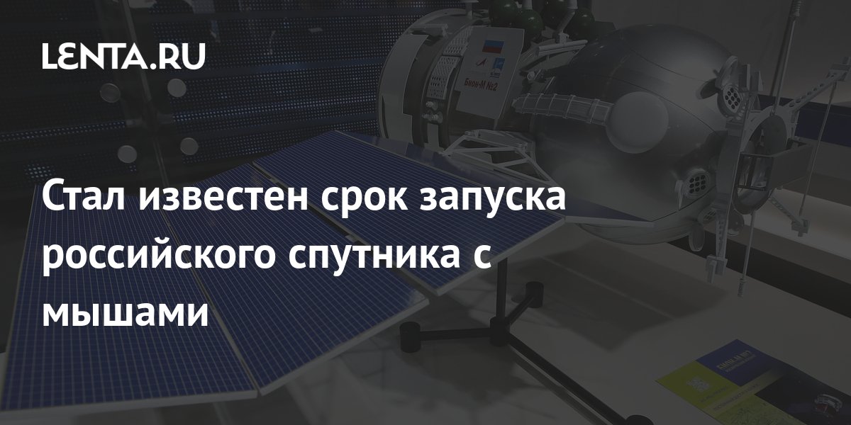 m.lenta.ru