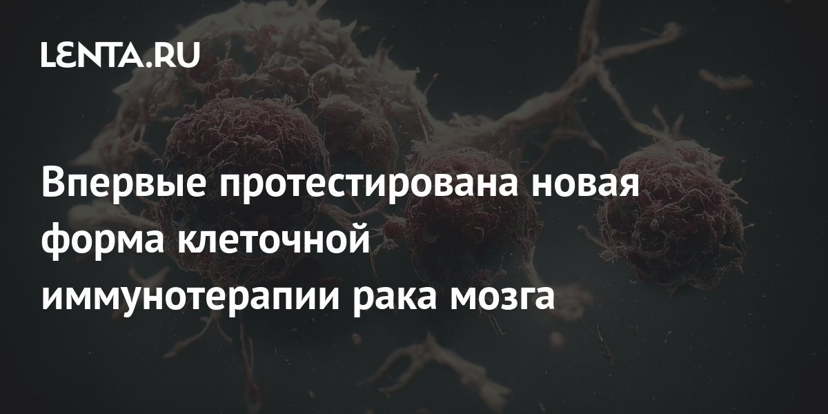 Почему эко вызывает рак головного мозга