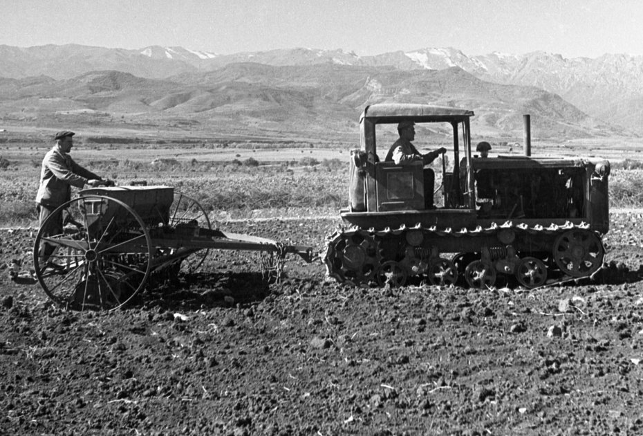 Азербайджанская ССР, Нагорный Карабах. Посев кормовых трав на силос. 18 апреля 1956 года 