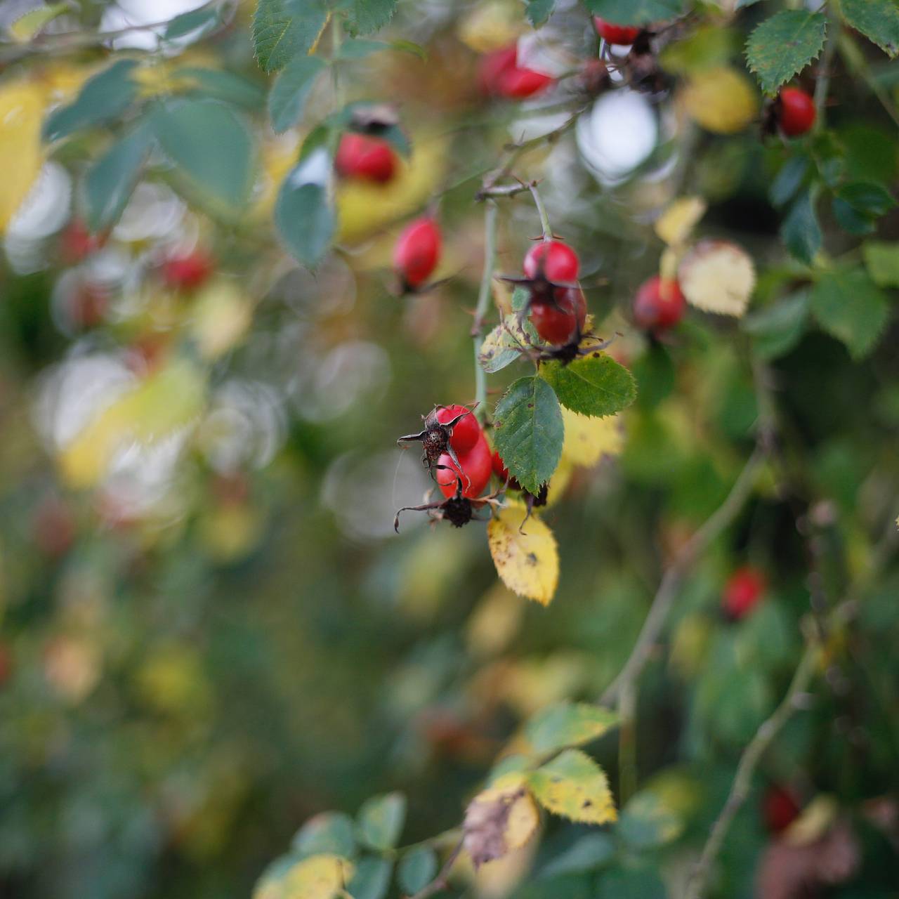 Фото: Iza Gawrych / Unsplash