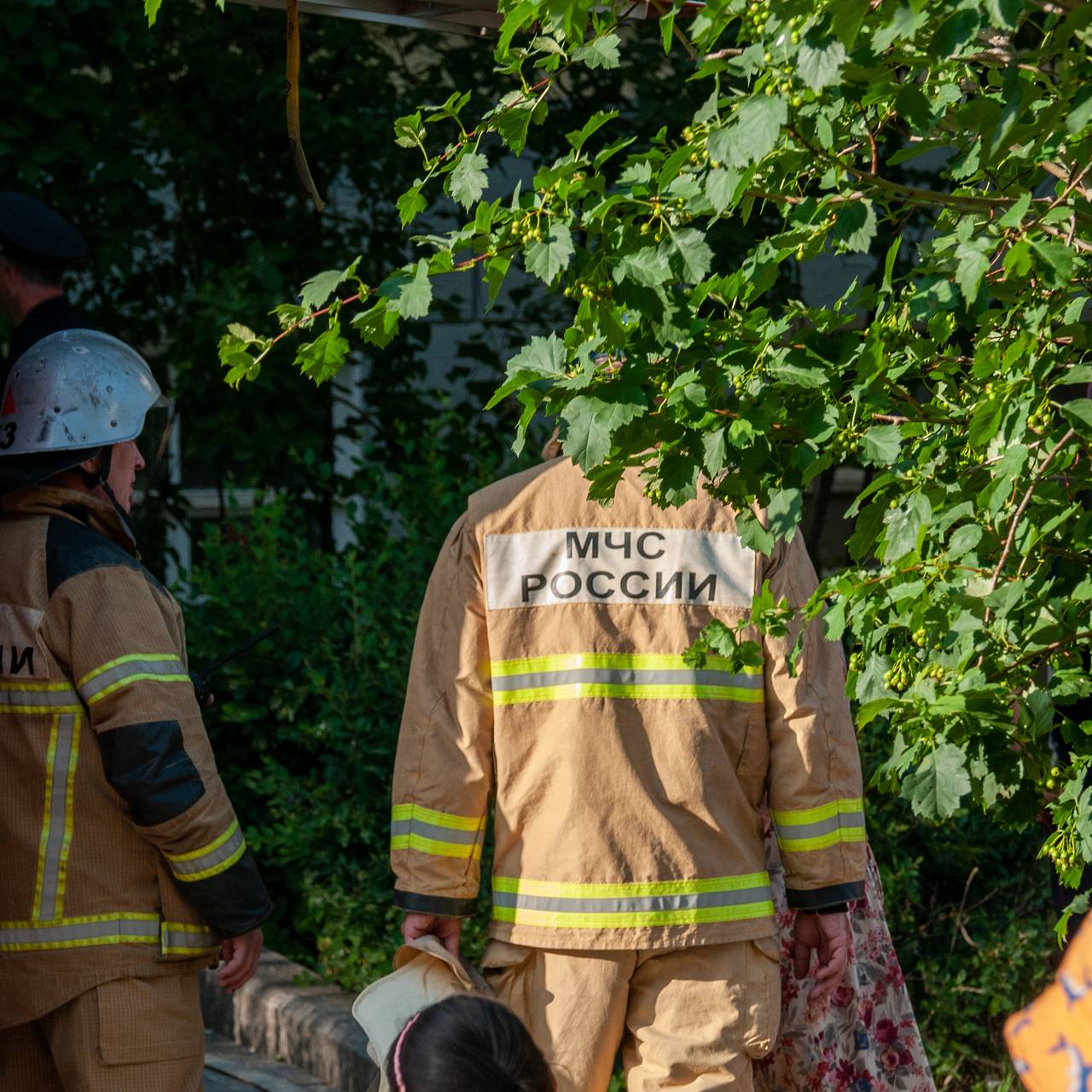 мчс направило. мчс россии в турции 2023. спасатели в херсонской области. мчс направило. парни мчс.