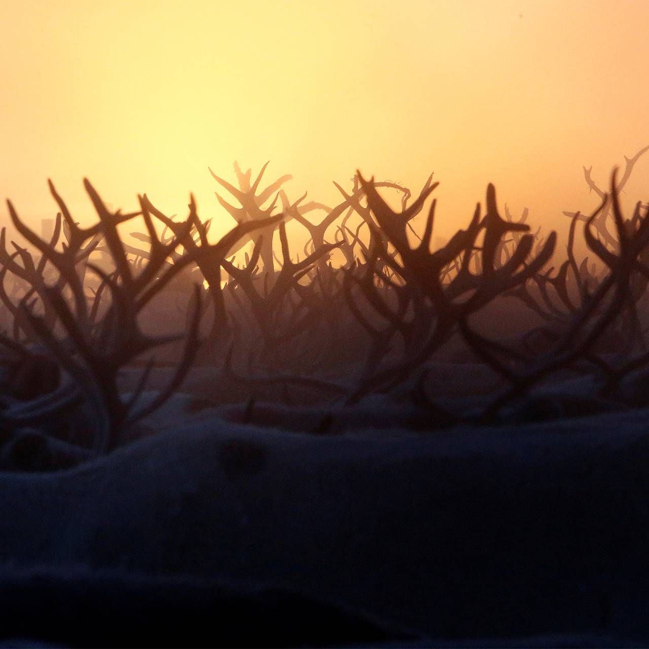 Фото: Сергей Карпухин / Reuters