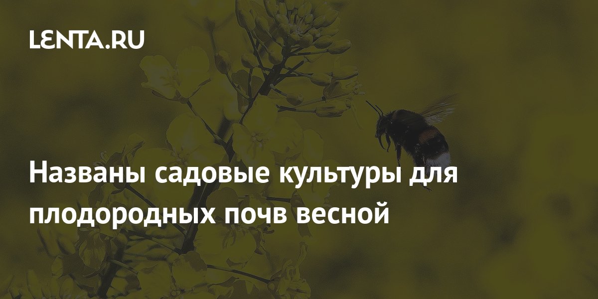 Названы садовые культуры для плодородных почв весной: Дом: Среда ...