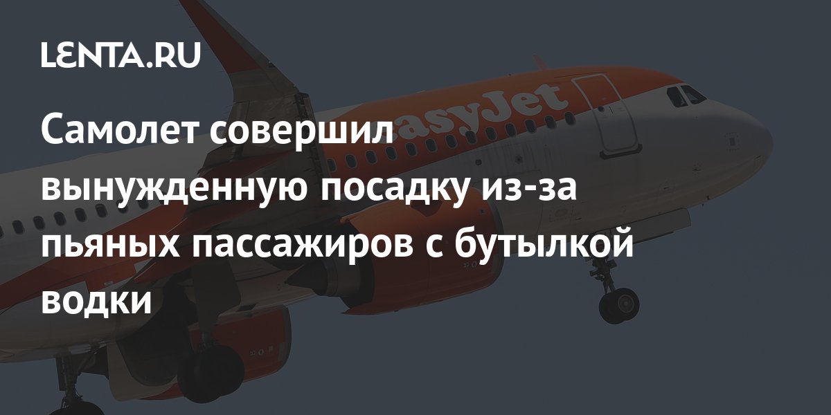 Самолет совершил вынужденную посадку из-за пьяных пассажиров с бутылкой ...