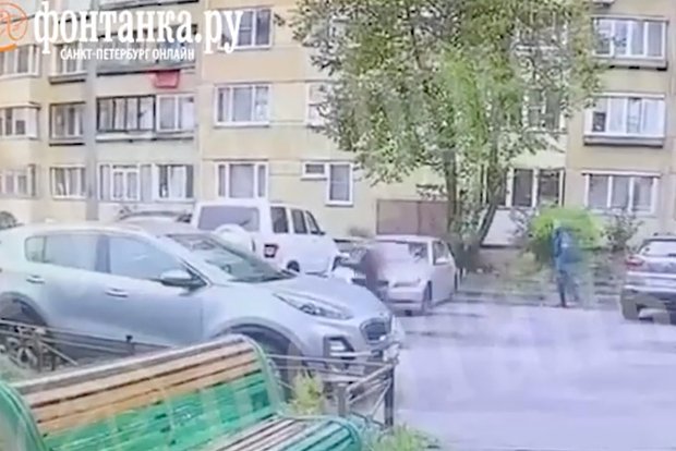 Вводная картинка