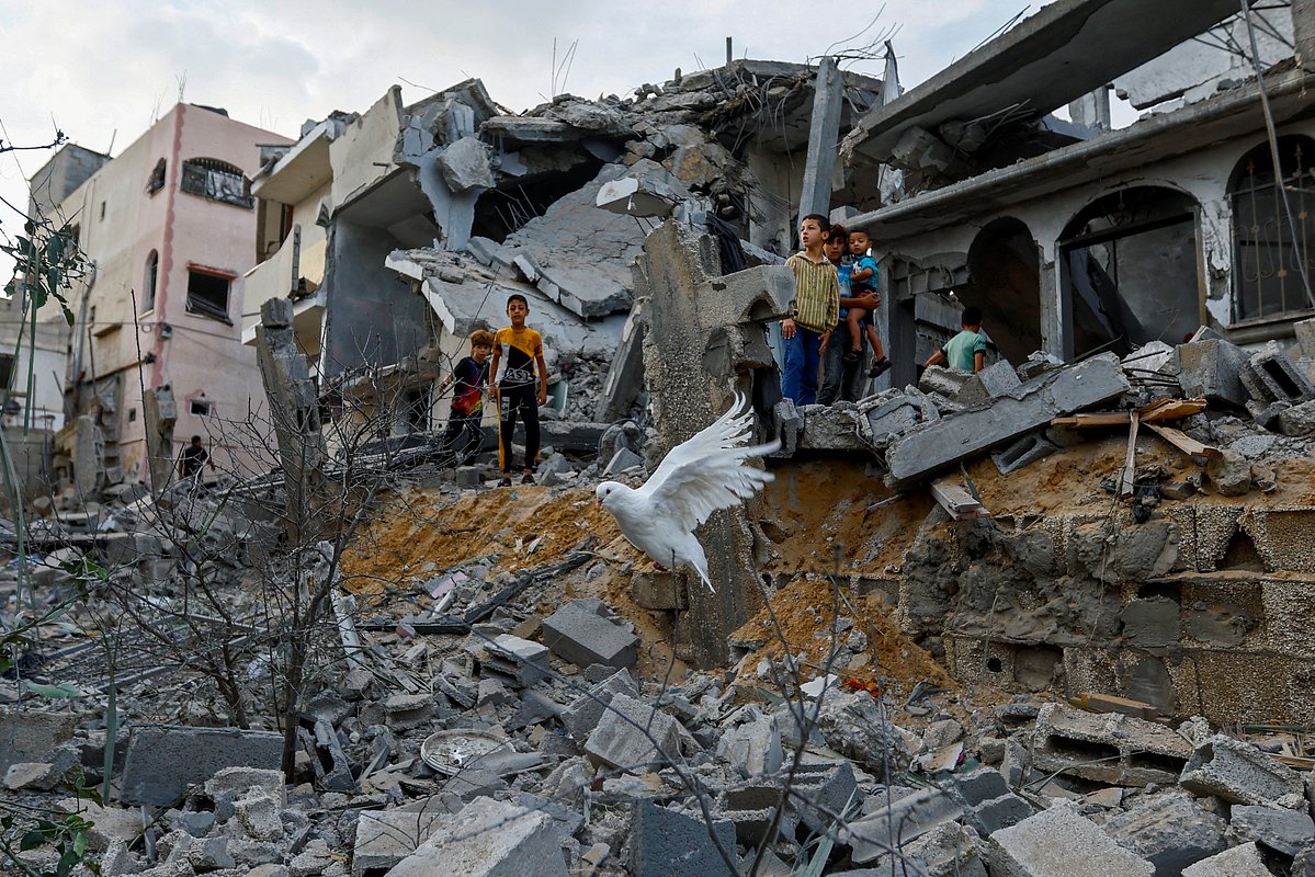 Голубь над обломками домов, разрушенных в результате израильских ударов по сектору Газа