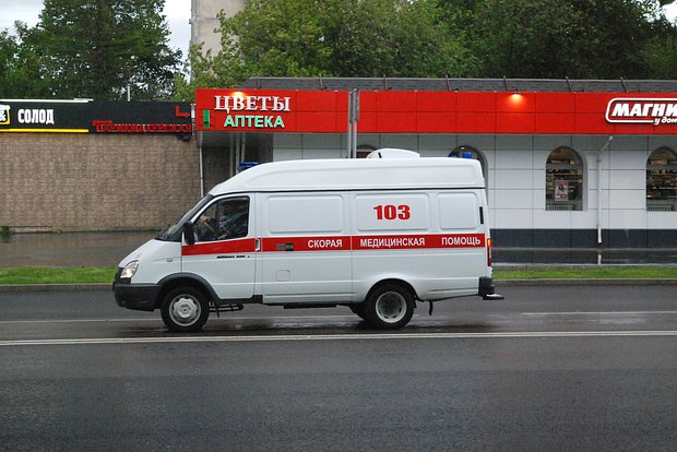 Вводная картинка