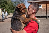 «Идут бои, а вы тут кошек спасаете!» Российские волонтеры спасают животных в зоне СВО. Через что они проходят?