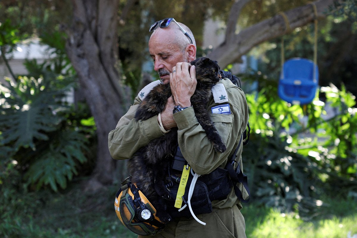 Израильский спасатель выносит кошку из разрушенного дома