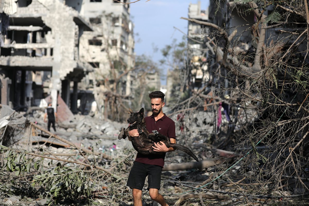 Палестинец спасает собаку после израильского удара по Газе
