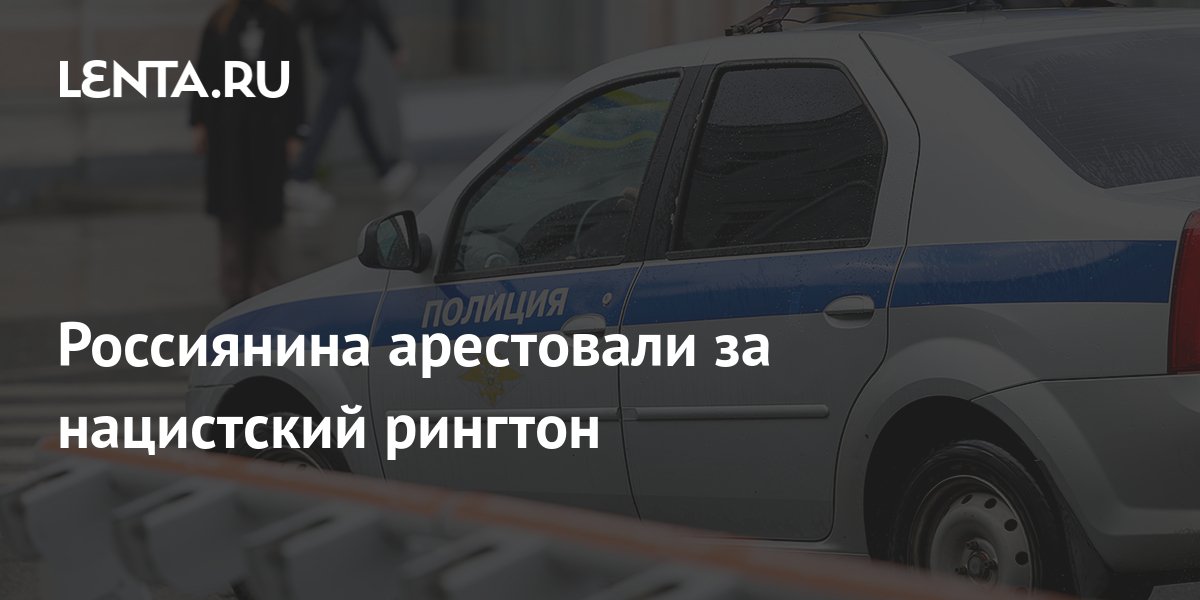Суд в Брянске арестовал на шесть суток жителя Московской области за нацистский рингтон
