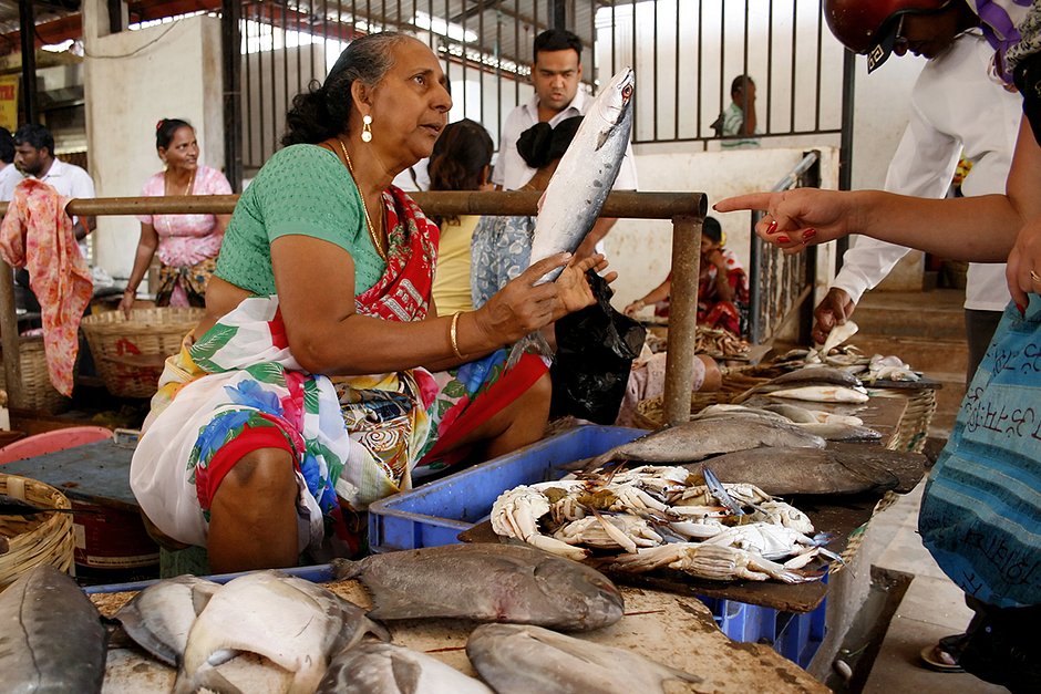 Рыбный рынок в Гоа