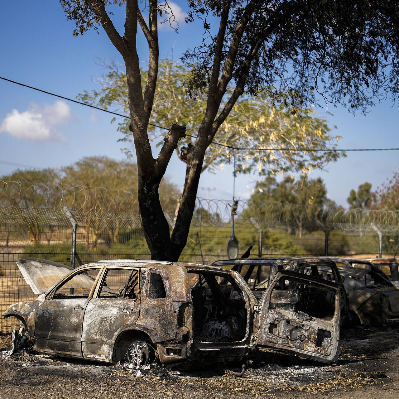 Фото: Francisco Seco / AP