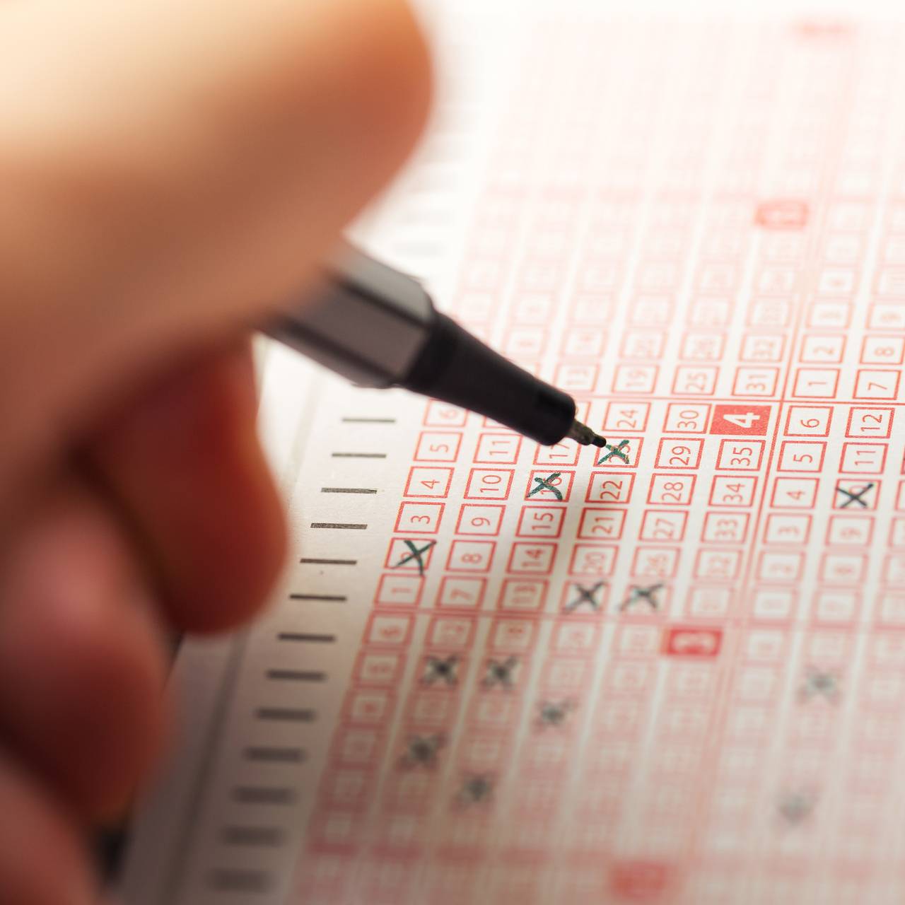 Фото: ronstik / Shutterstock / Fotodom