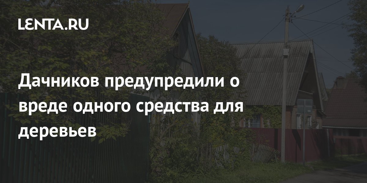 Дачников предупредили о вреде одного средства для деревьев: Дом: Среда обитания: