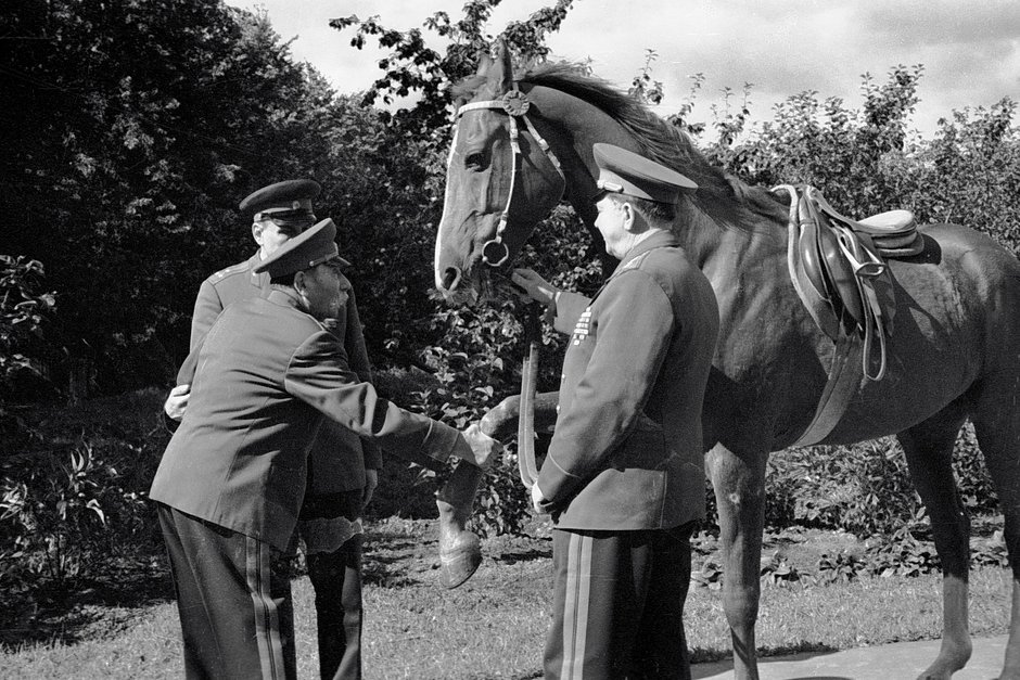 Маршал Буденный здоровается с конем на подмосковной даче, 1969 год 