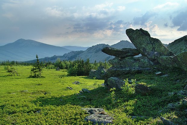 Вводная картинка