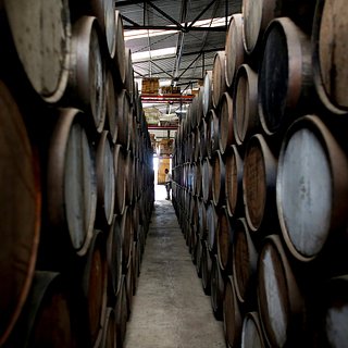 В посольстве Мексики объяснили невозможность производить текилу в России