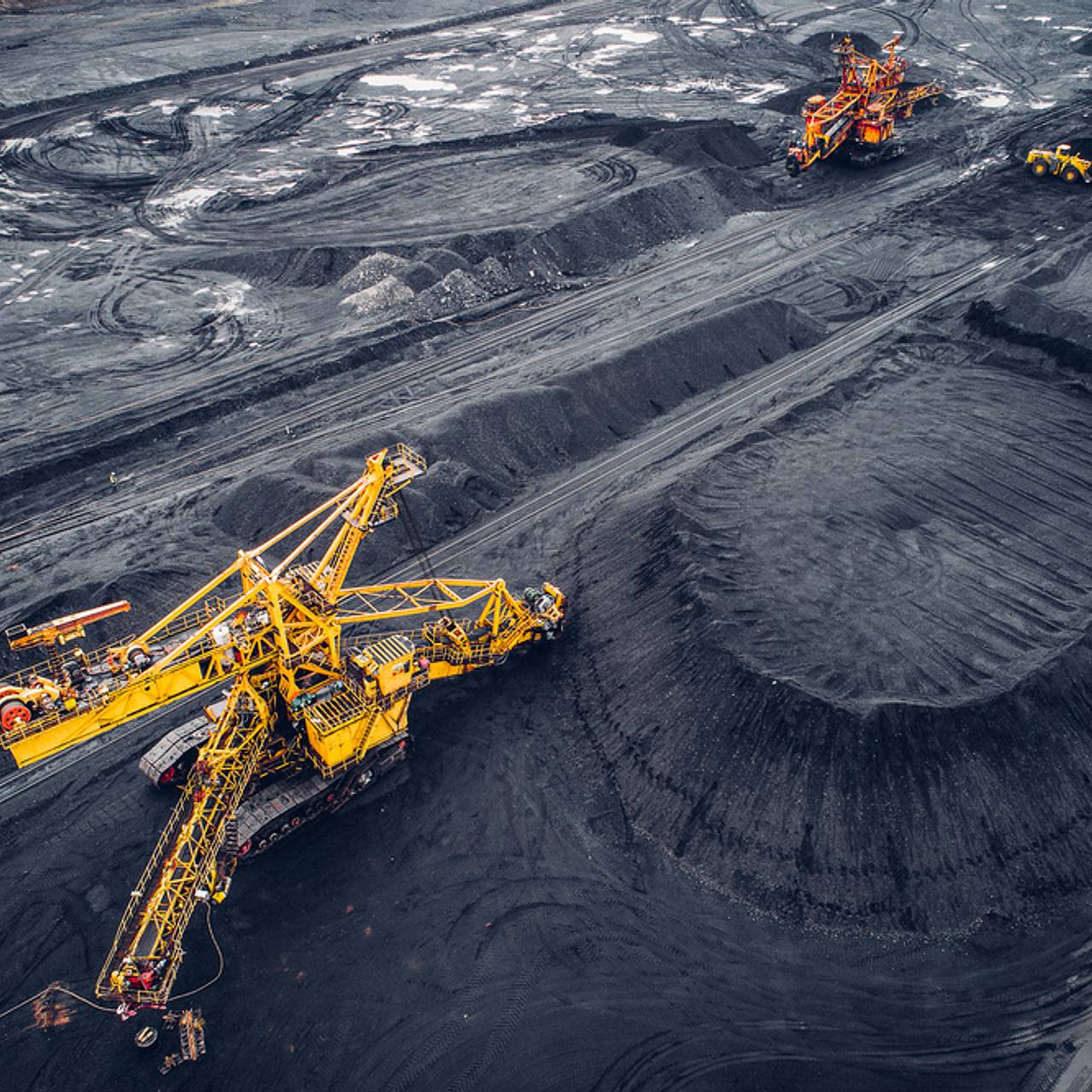 Фото: Mark Agnor / Shutterstock / Fotodom