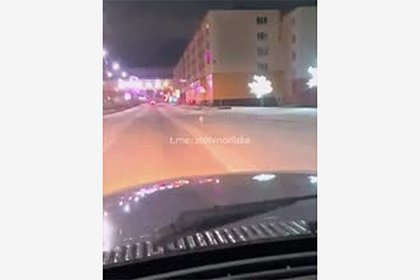 Песец пришел в российский город и попал на видео