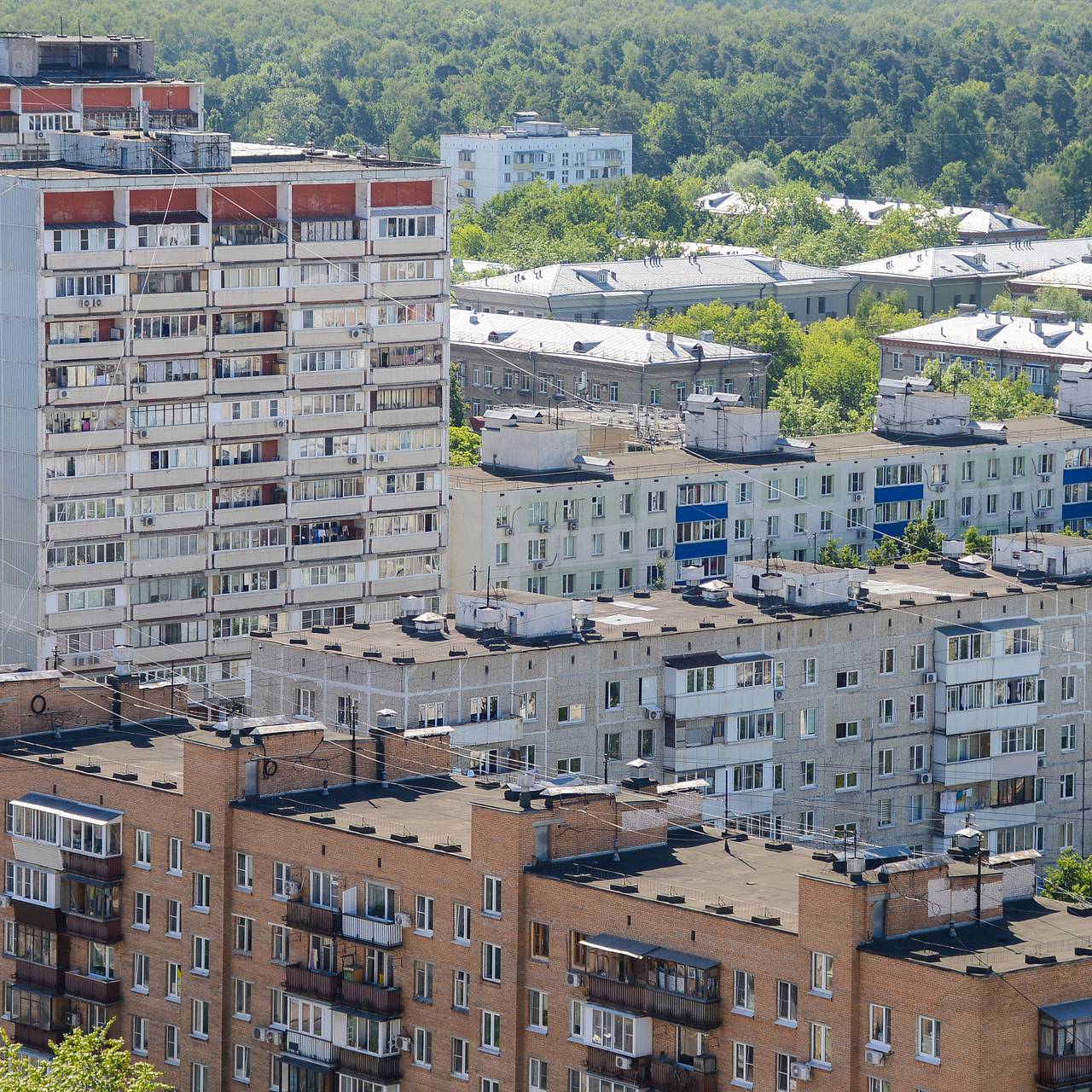 Фото: Екатерина Якель / «Лента.ру»
