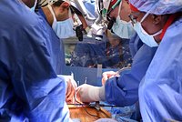 Второй человек с пересаженным свиным сердцем прожил лишь шесть недель. Почему экспериментальная операция не удалась? 