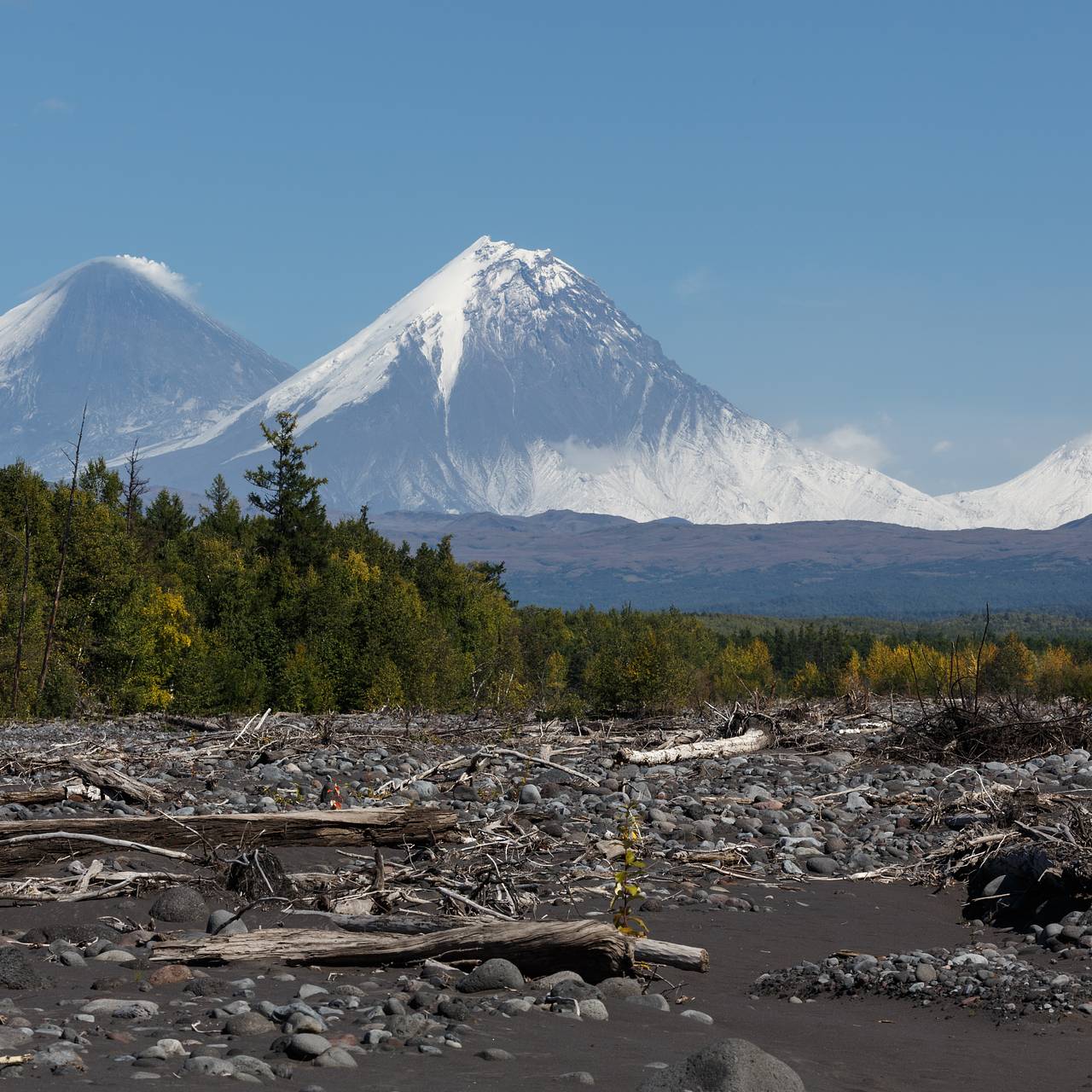 Фото: Александр Пирагис / РИА Новости