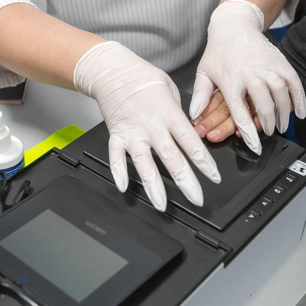 Фото: Евгений Павленко / Коммерсантъ