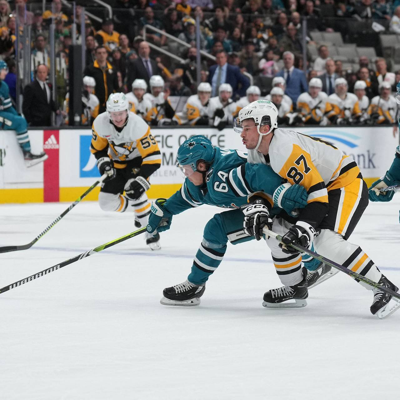 Фото: Darren Yamashita / Ruters