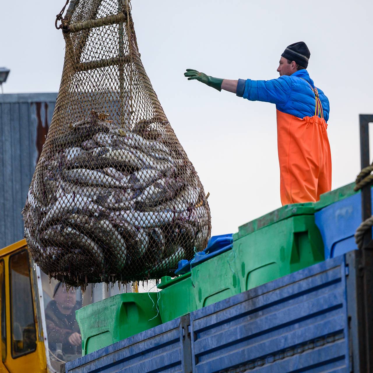 Фото: Сергей Красноухов / РИА Новости