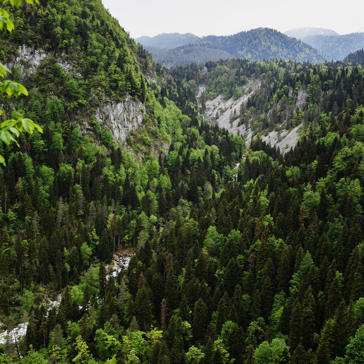 Фото: Алексей Мальгавко / РИА Новости