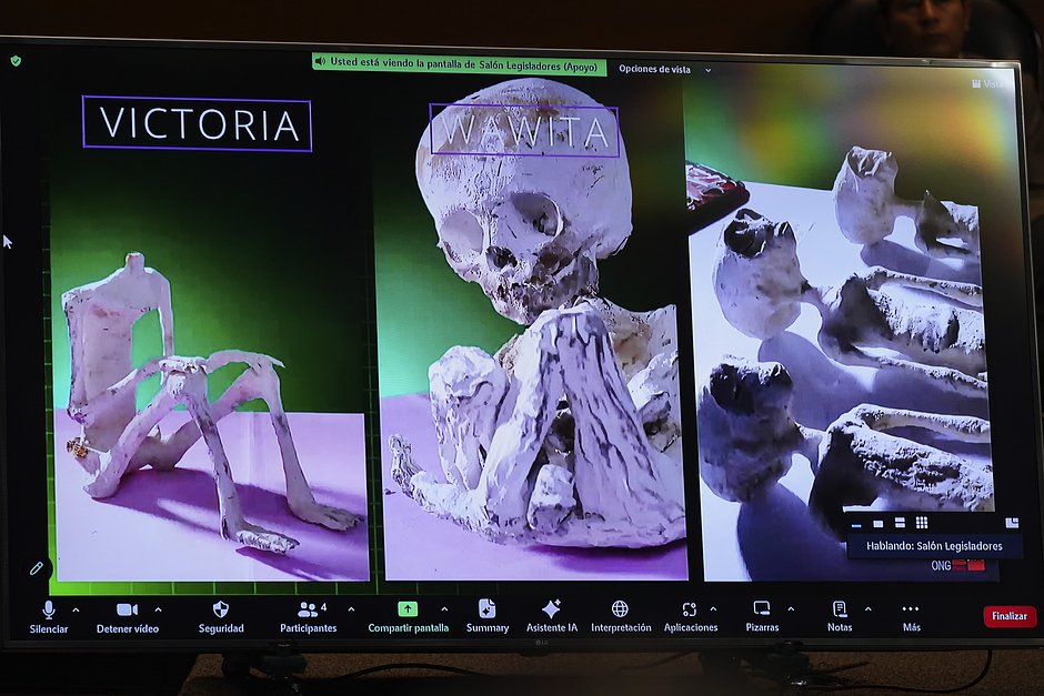 Найденные в Перу «мумии инопланетян» признали настоящими (фото, видео) (обновлено) - «ФАКТЫ»