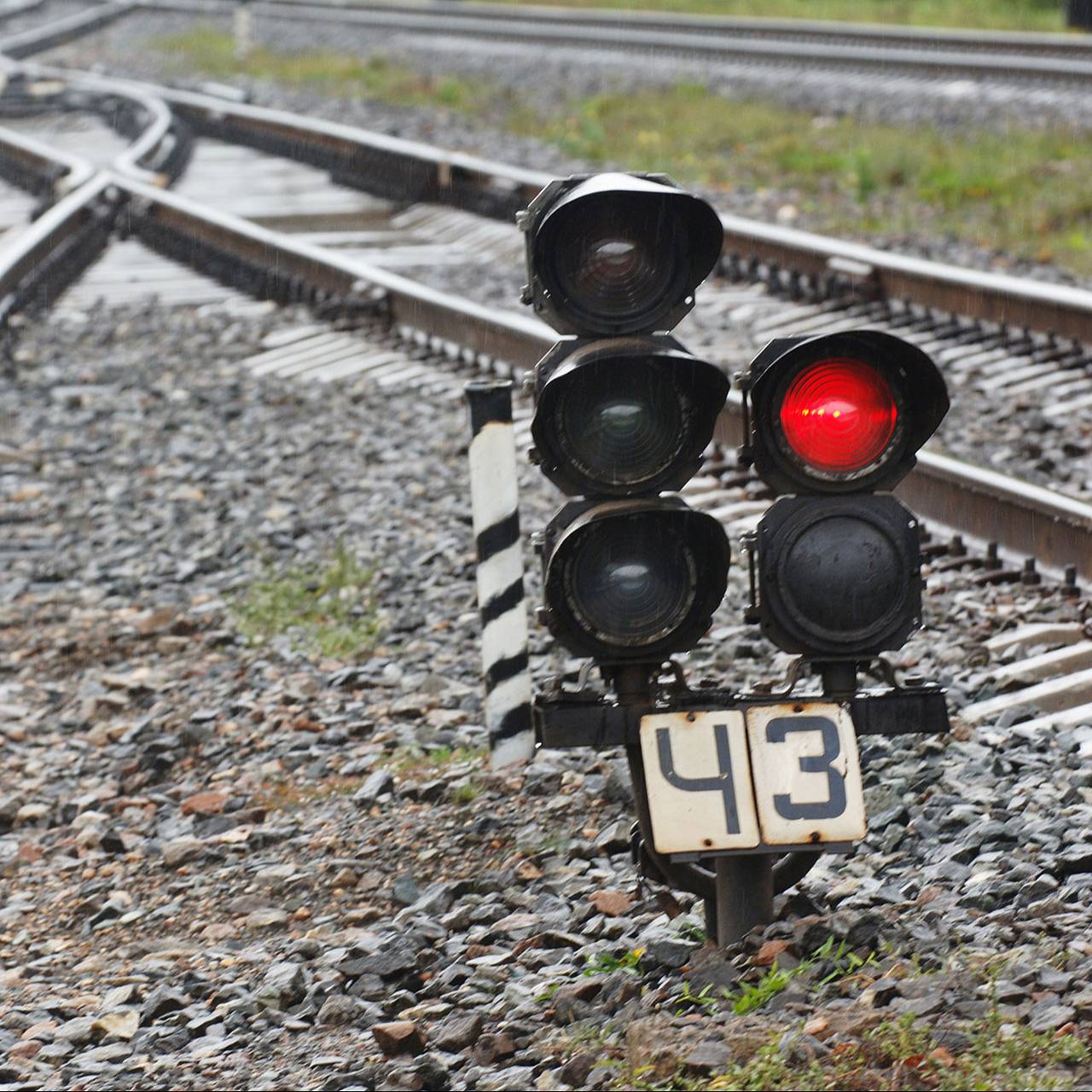 Фото: Сергей Пятаков / РИА Новости