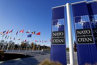Украину предложили принять в НАТО в новых границах, без Крыма и Донбасса. Зачем Западу это нужно? 