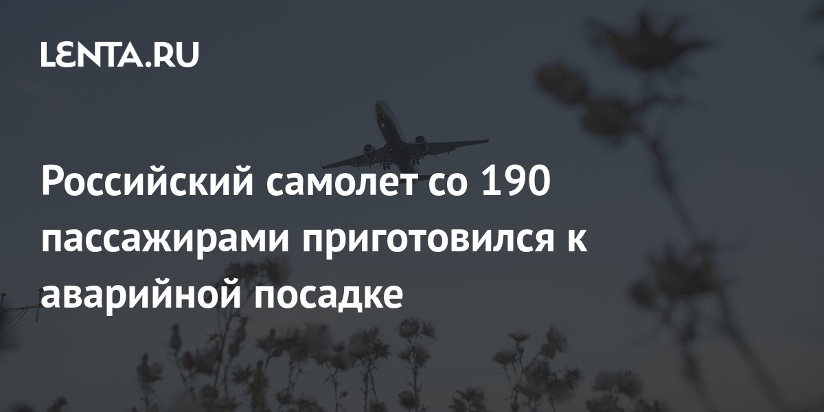 Российский самолет со 190 пассажирами приготовился к аварийной посадке