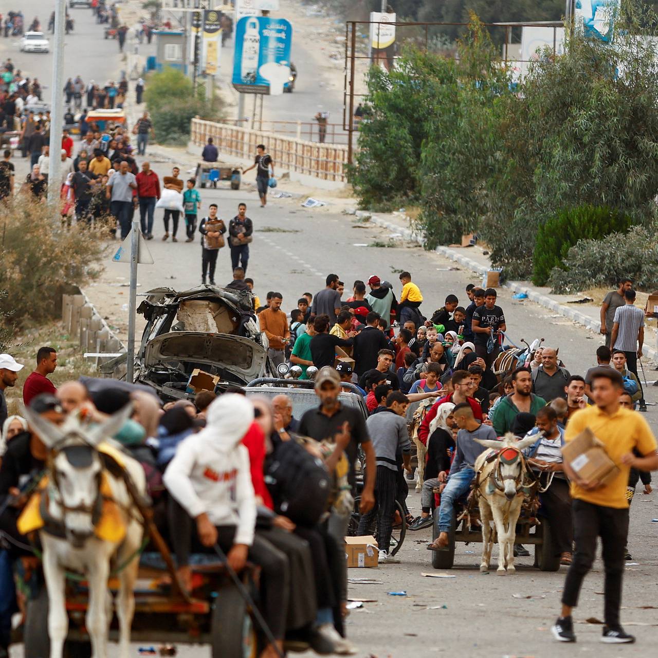 Фото: Ibraheem Abu Mustafa / Reuters