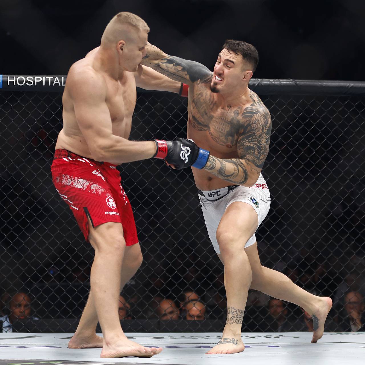 Фото: Sarah Stier / Getty Images