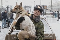 В России сняли сериал о послевоенной Чечне и волке на собачьих боях. Чем удивляет «Абрек»?