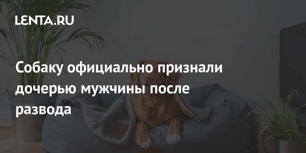 lenta.ru