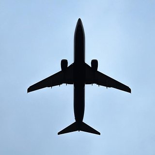 Российские продукты почти полностью заменили иностранные во время авиаперелетов