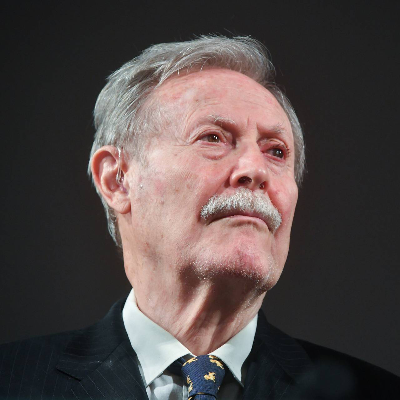 Фото: «АГН Москва» / Globallookpress.com