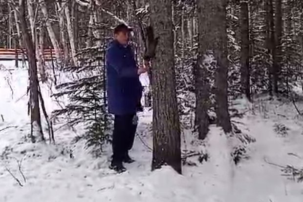 Вводная картинка