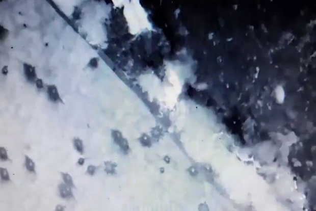 Вводная картинка