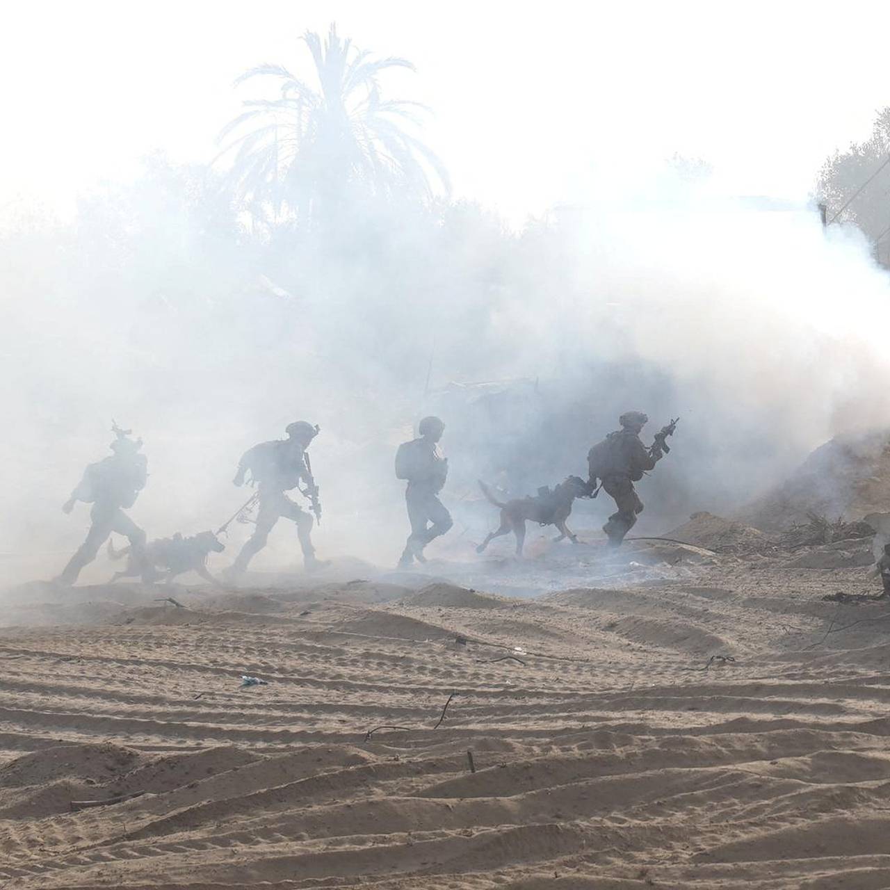 Фото: Israeli Defense Forces / Reuters