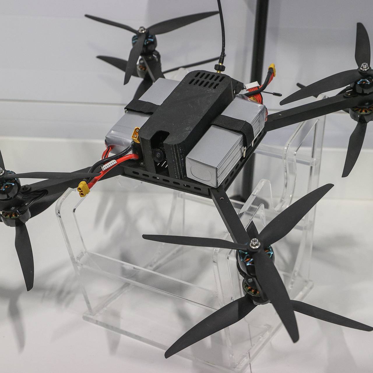 Фото: Bulkin Sergey / News.ru / Global Look Press