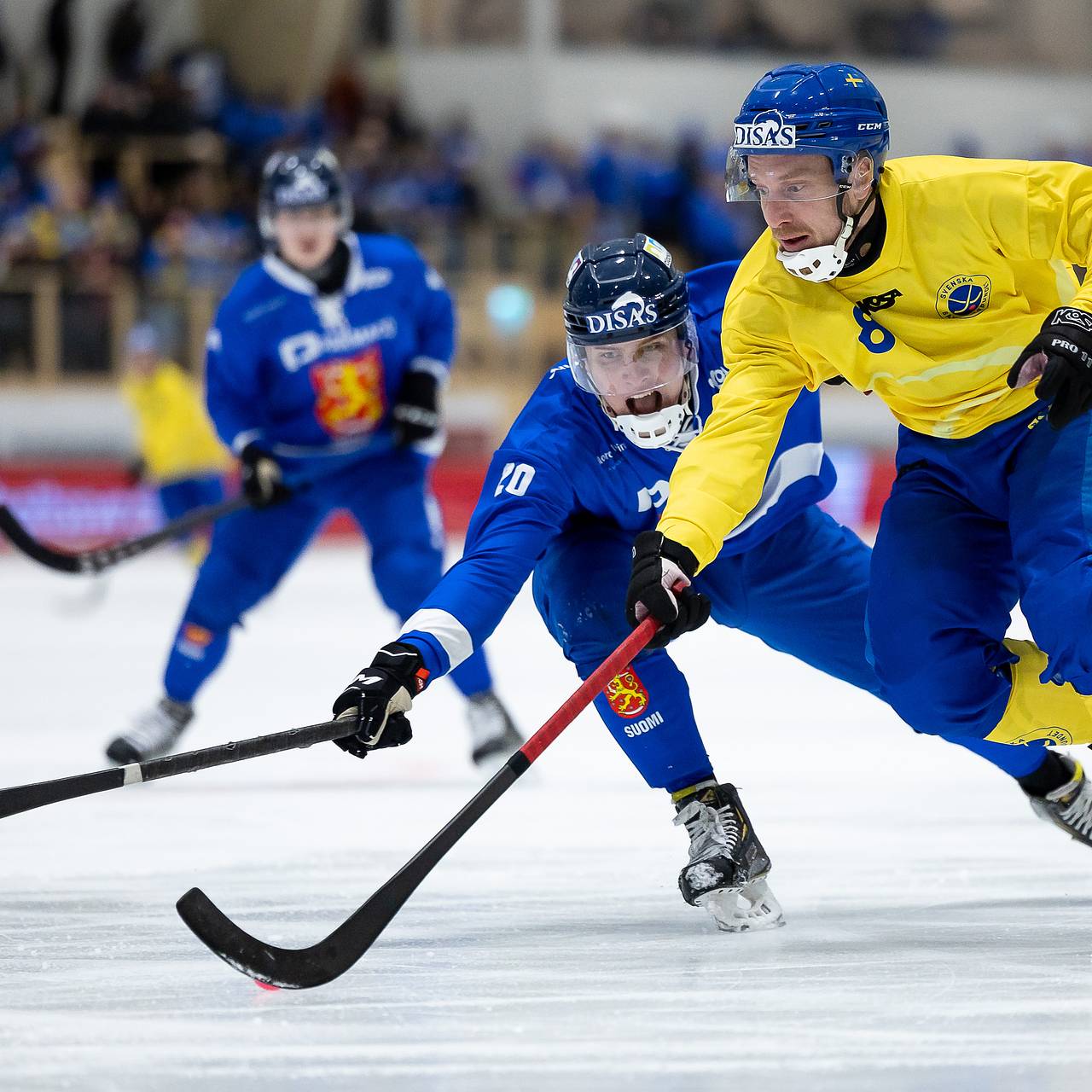 Чемпионат мира по зимним видам спорта 2019