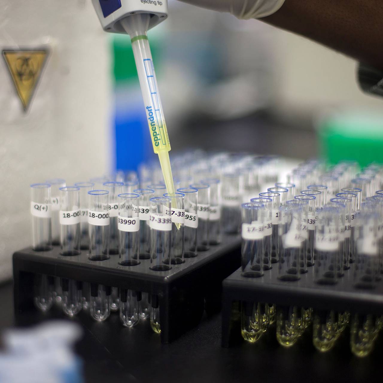 Фото: Christinne Muschi / Reuters