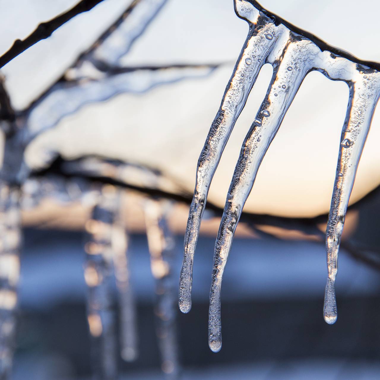 Фото:  Aleksey Smyshlyaev / Global Look Press